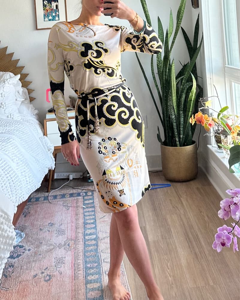 Emilio Pucci Dress - Image 2