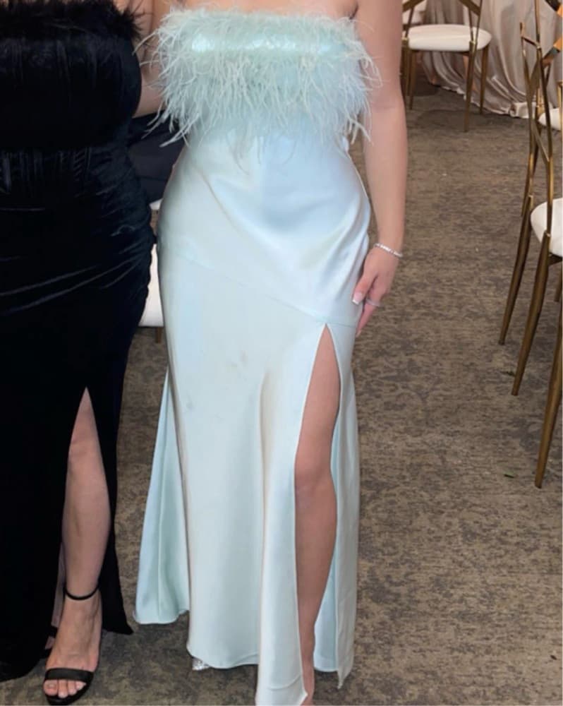 Glamorous Feathered Evening Gown - Image 1