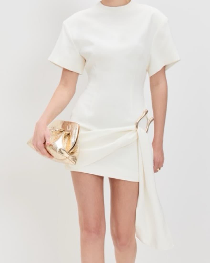Lioness Dress - Image 3