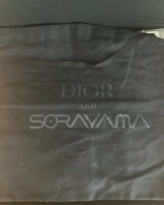 Dior and Sorayama Titanium Saddle Bag - Image 2