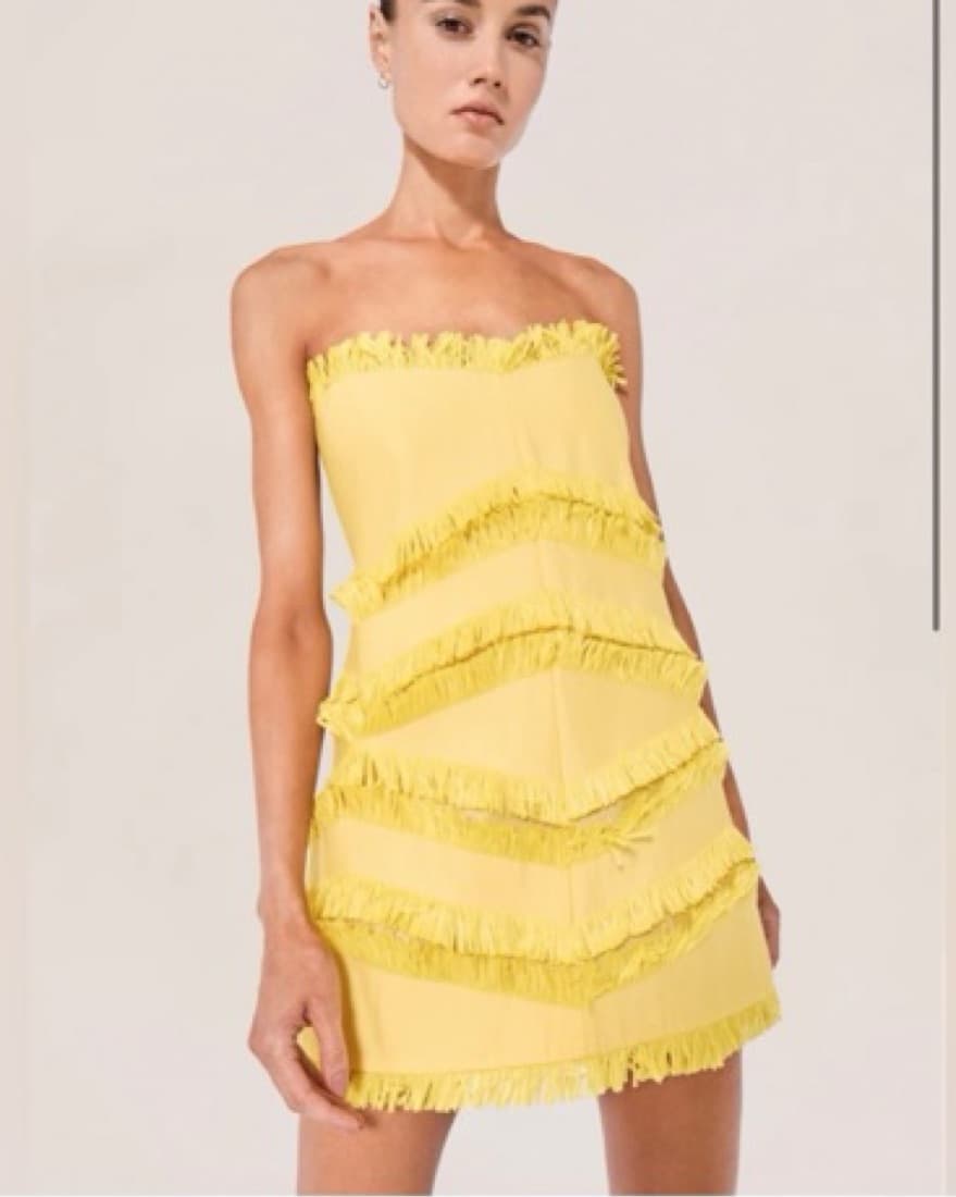 Alexis Fione Dress - Image 1