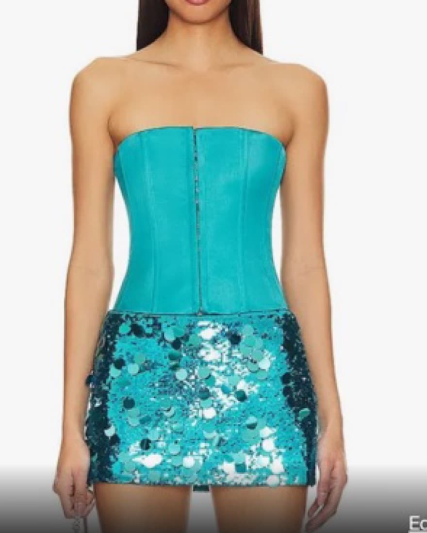 Danielle Guizio Satin Teal Corset  - Image 1