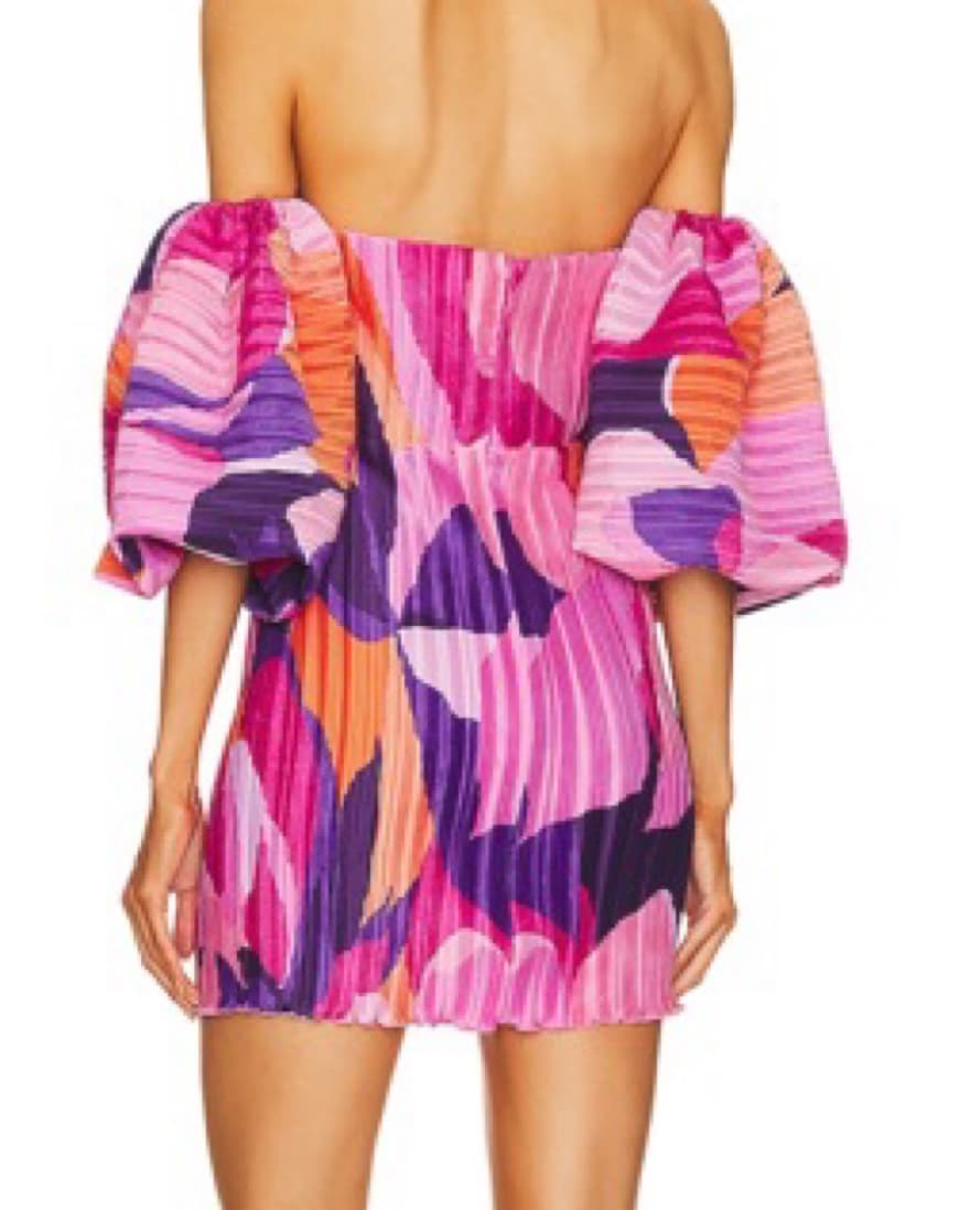 Revolve Sirene Mini Dress - Image 3