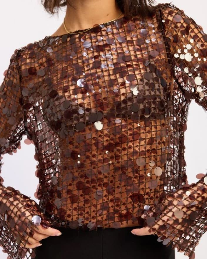 Mesmerizing Metallic Mesh Blouse - Image 1