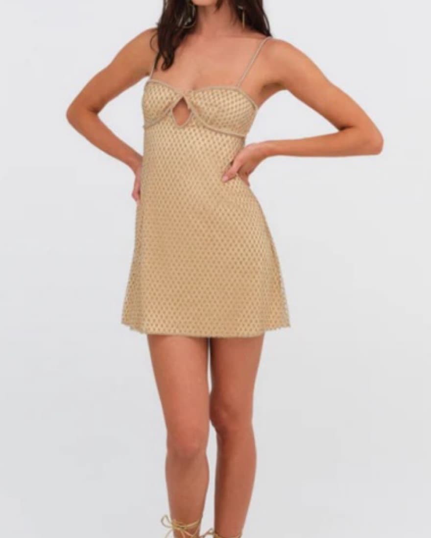 For Love and Lemons Mini Dress - Image 2