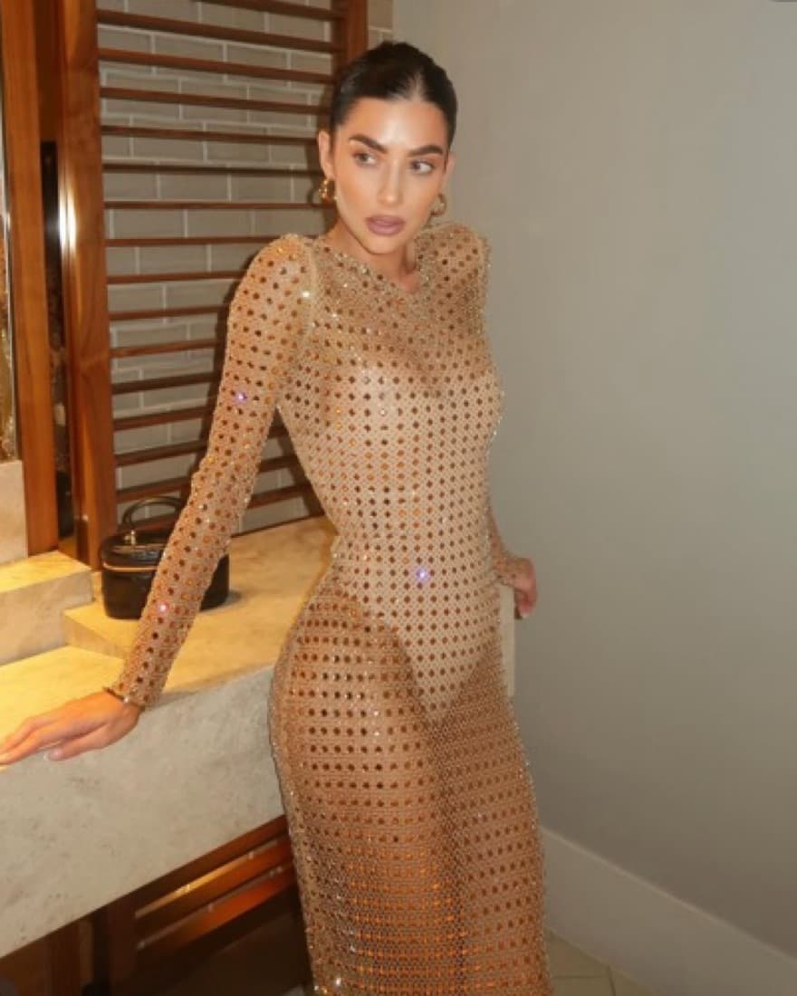 Nookie Sheer Fame Gown  - Image 1