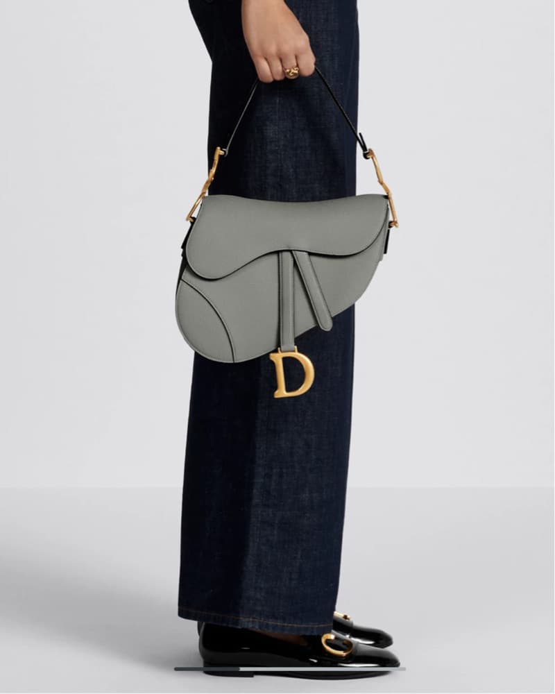 DIOR Saddle Bag Strap Stone Gray Grained - Image 3