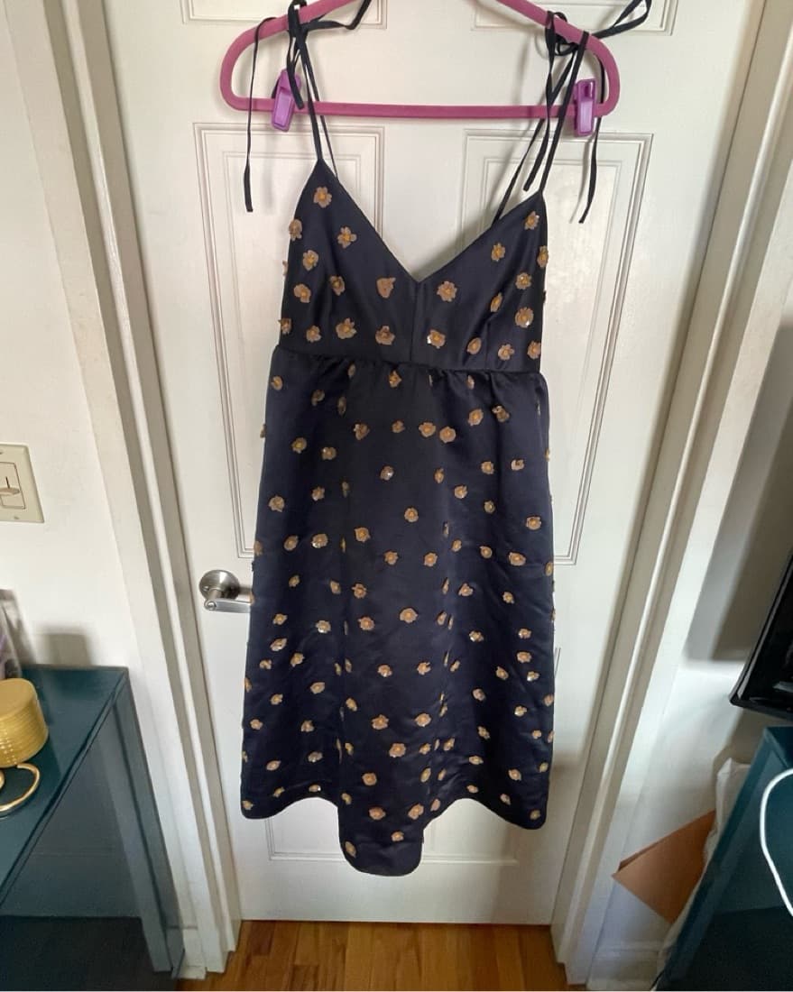 Anthropologie Calysta Dress - Image 4