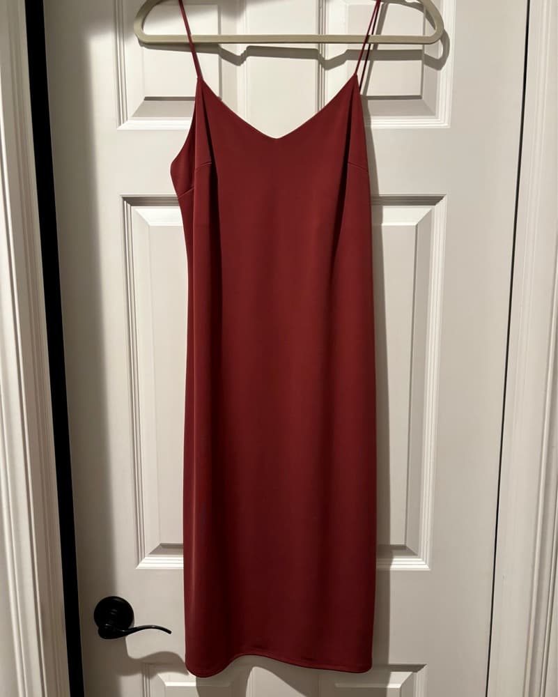 Dusty Rose Express Dress - Image 3