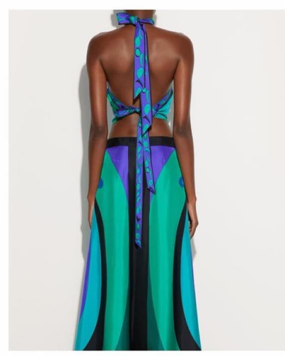 $1020 Pucci Cropped silk halterneck Top - Image 3