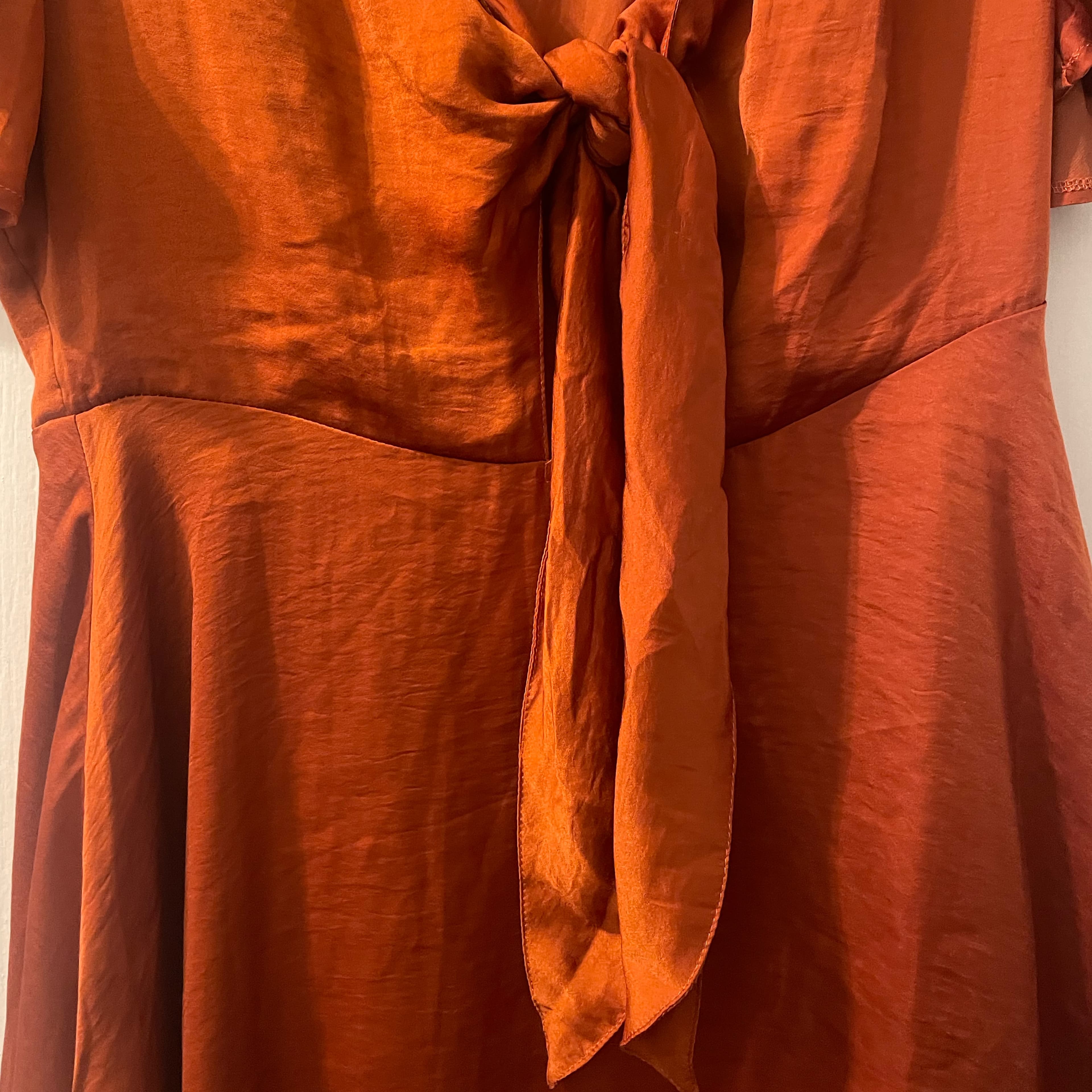 Billy J Burnt Orange Dress NWT - Image 4