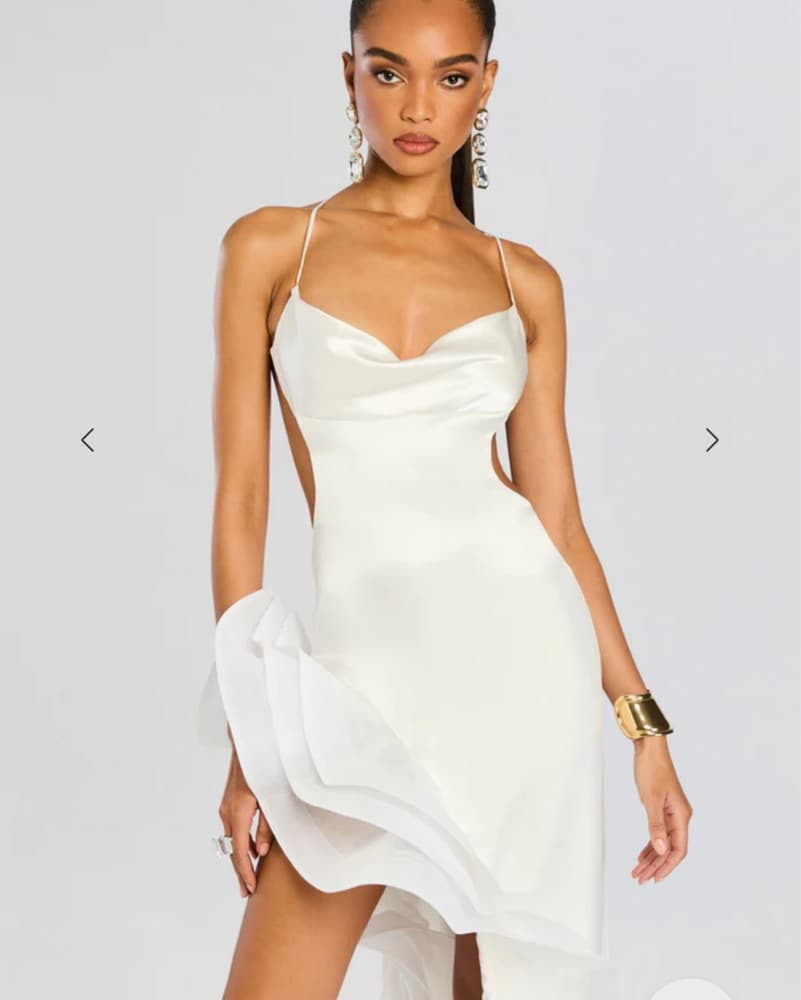 Retrofete Kaitlin Dress  - Image 5