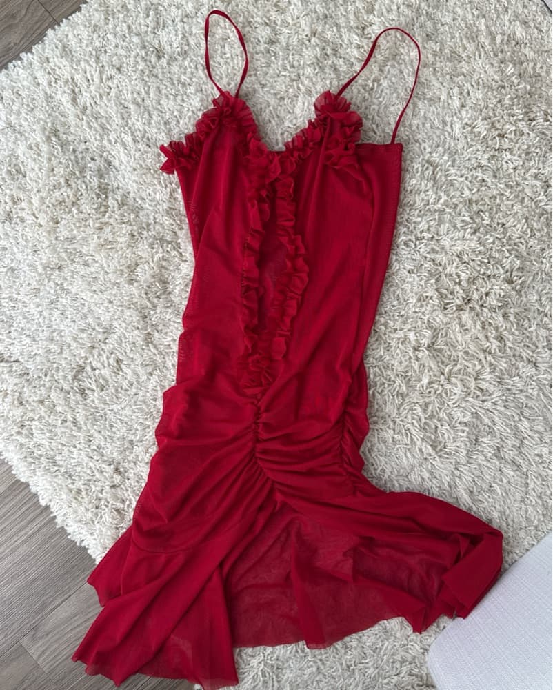 Red Sheer Mini Dress  - Image 4
