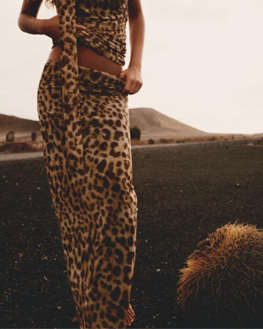 Zara Cheetah Print Set - Image 4