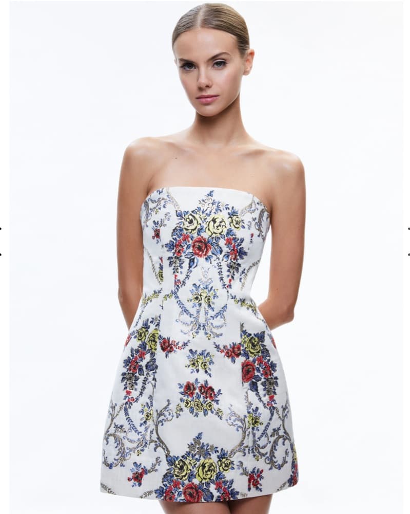 Velia Mini Dress - Image 1