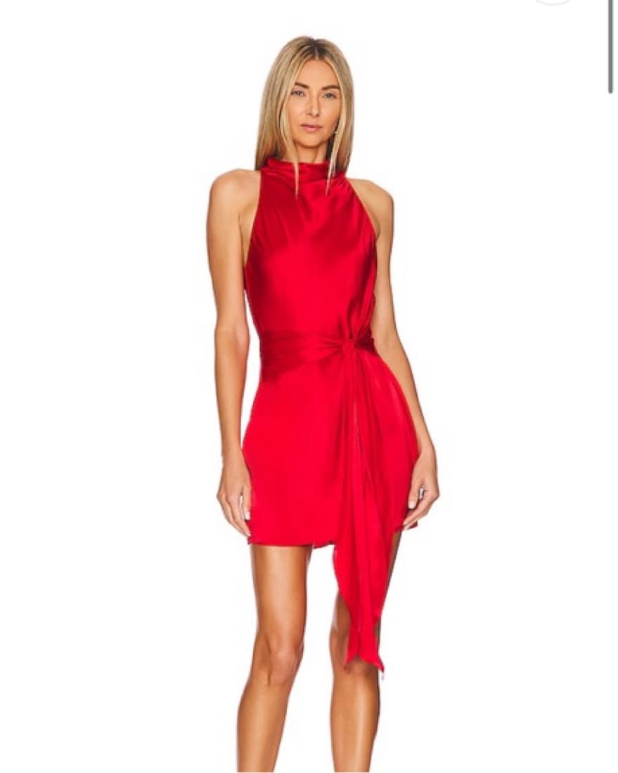 Sandrine Dress In Ruby  - Image 2