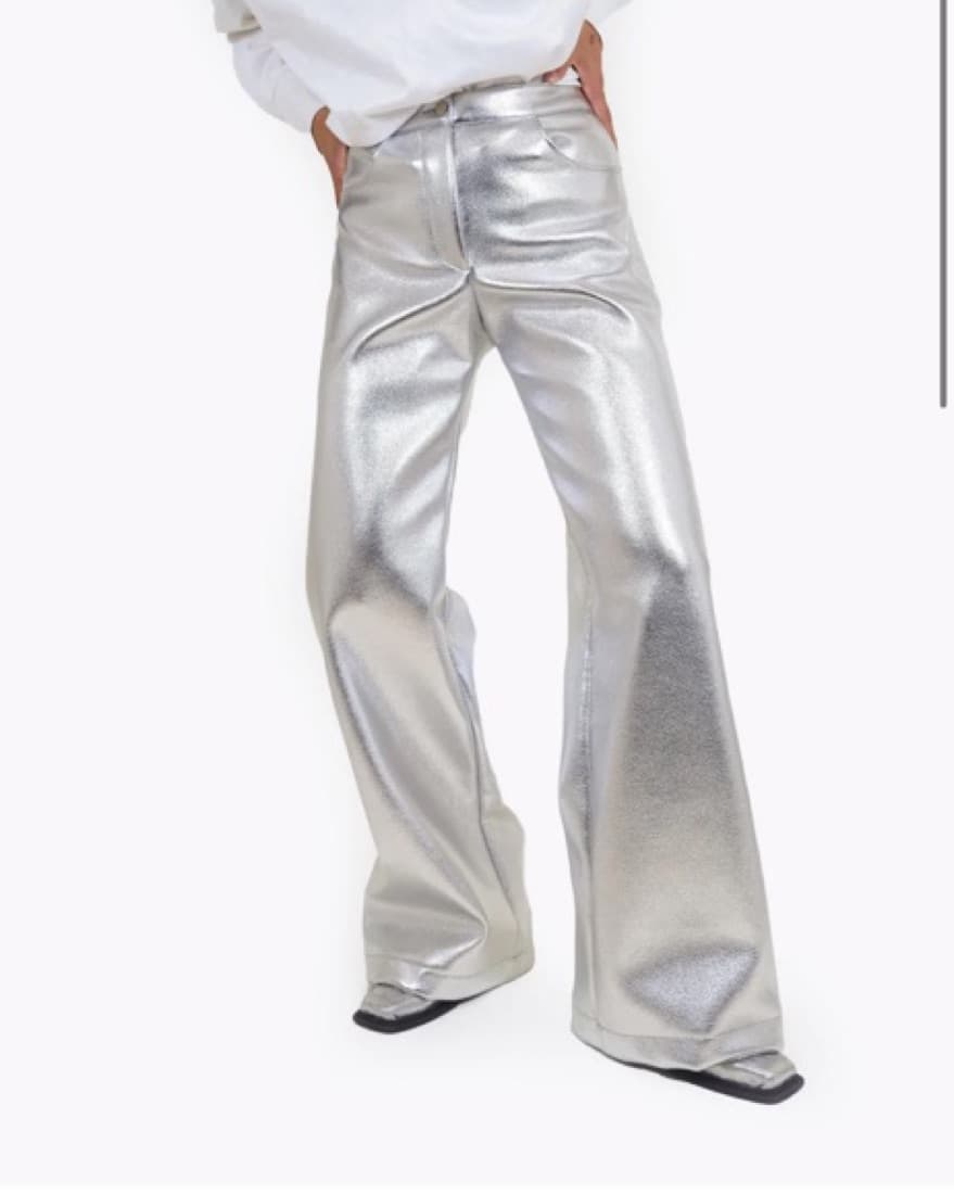 LAAGAM SILVER PANTS - Image 2