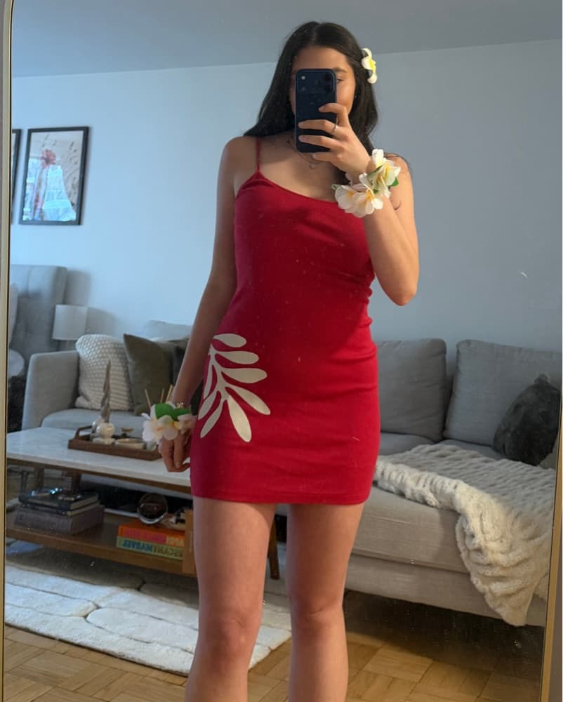 Reformation Red Knitted Dress  - Image 1
