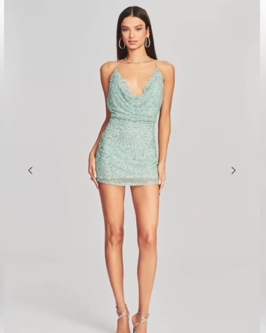 Retrofête Mich Sequin Dress - Image 1