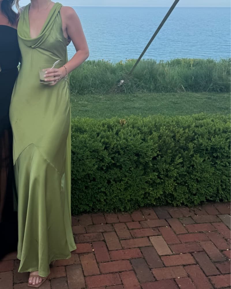 Olive Green Gown - Image 4