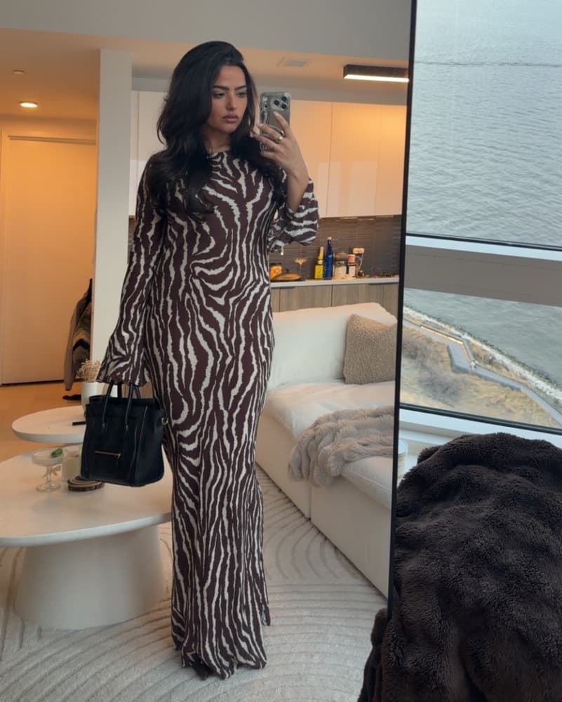 Realisation Par Gia Zebra Dress - Image 3