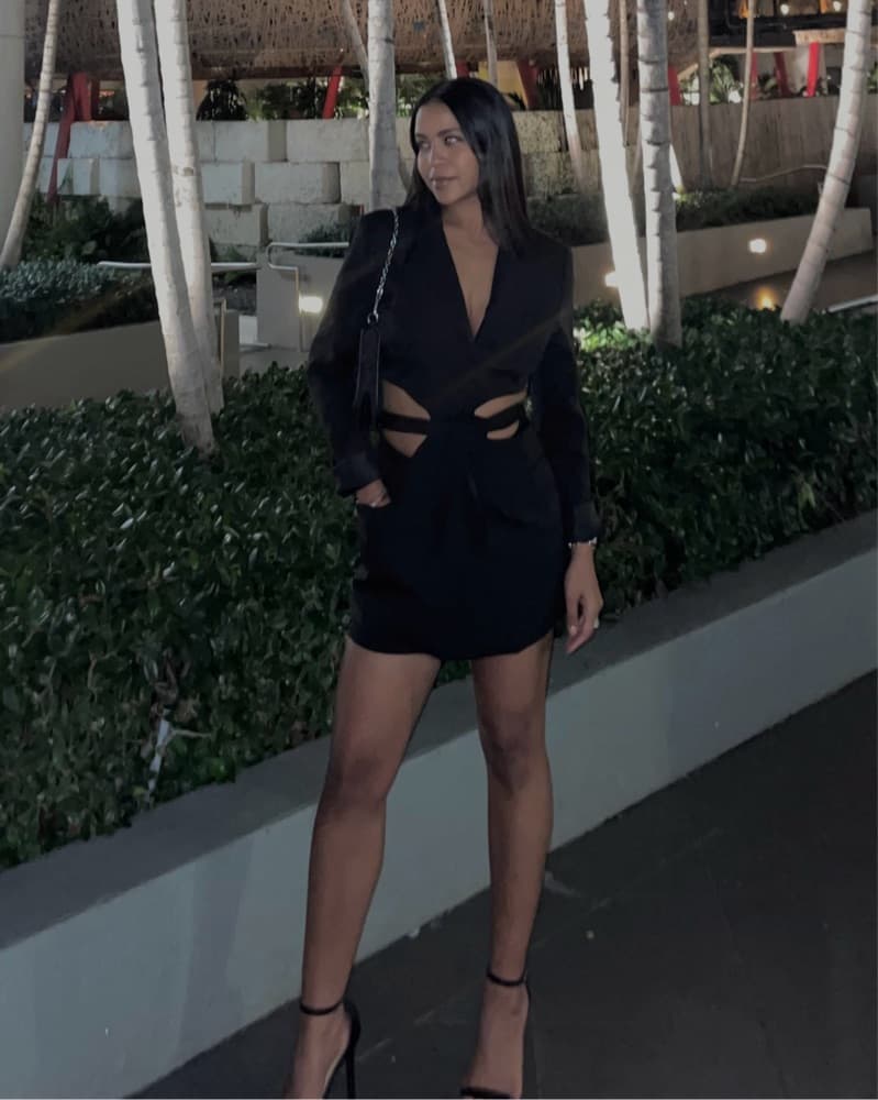 Lioness Blazer Dress - Image 1
