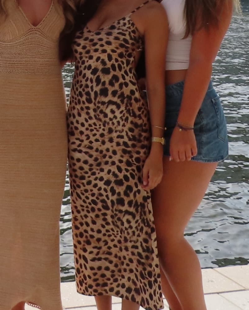 Zara Leopard Print Dress  - Image 2