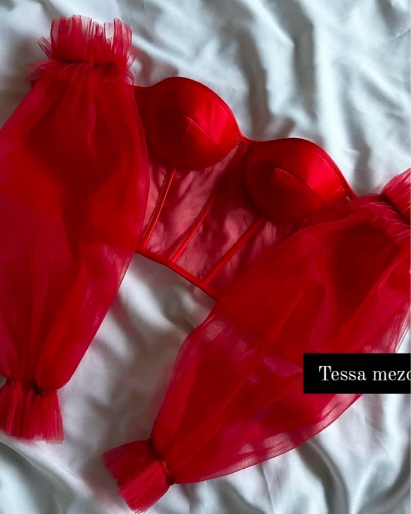Sheer Red Corset Top with Puffy Sleeves - Image 1