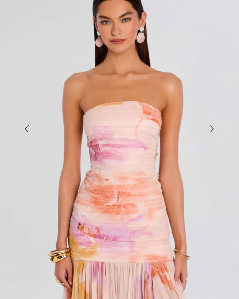 Retrofete Teryn Silk Chiffon Dress - Image 1