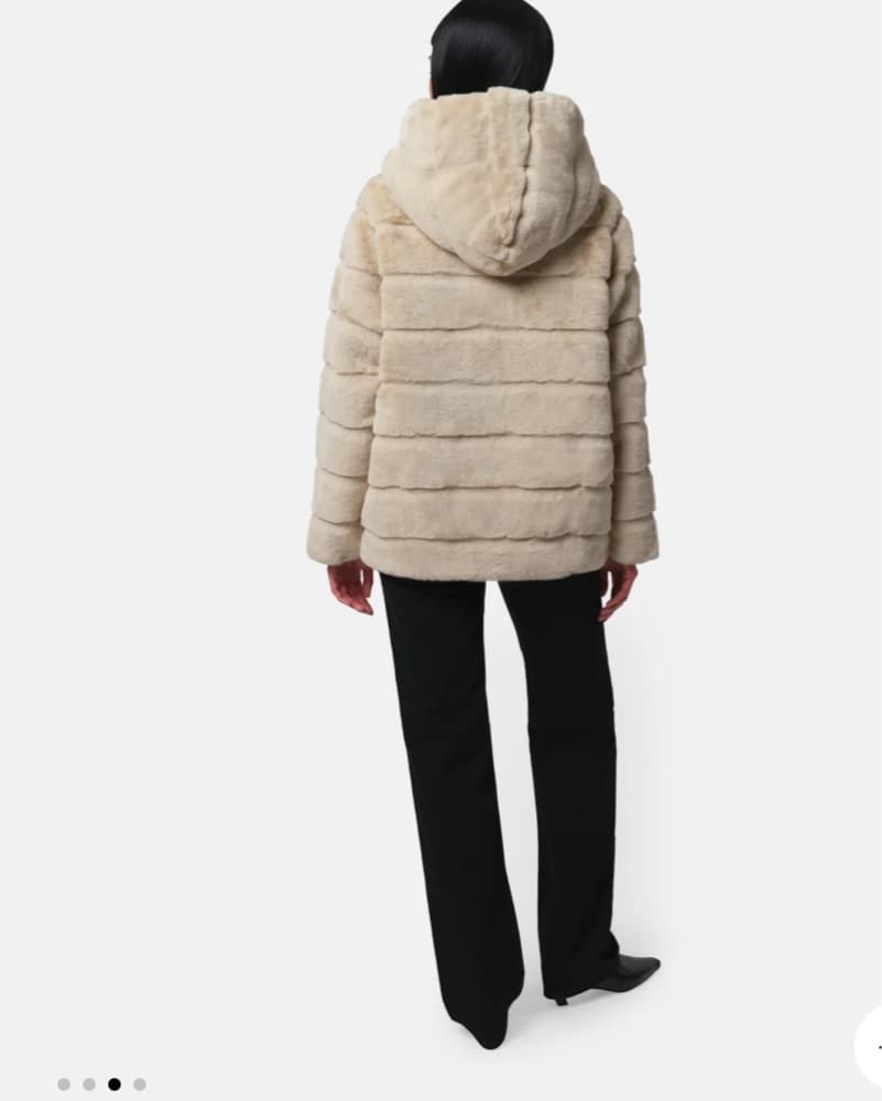 Apparis Goldy Coat - Image 4