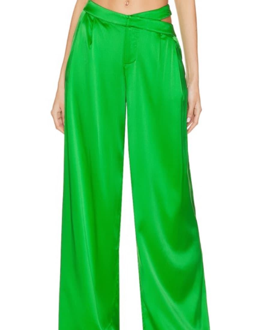 Green Silk Pants Revolve (Seroya) - Image 5