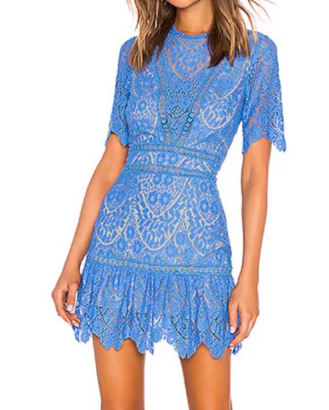 Gorgeous Blue Saylor - Image 1