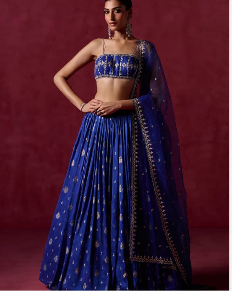Blue Lehenga - Image 4