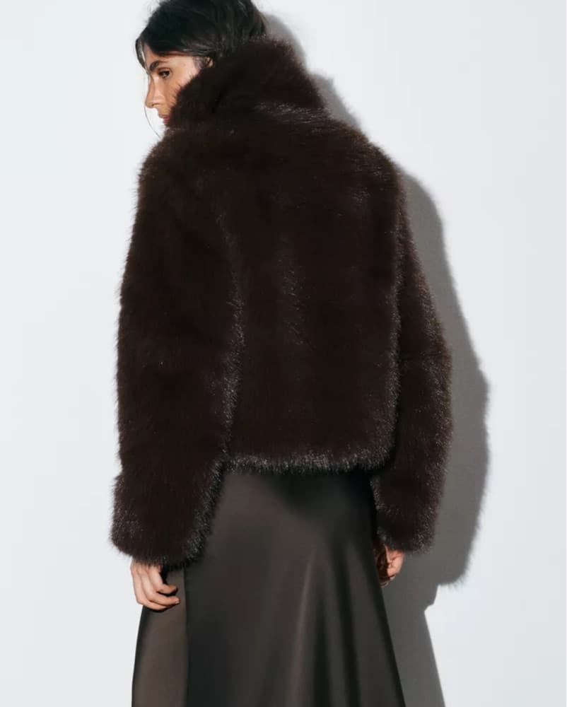 Zara Faux Fur Jacket  - Image 4