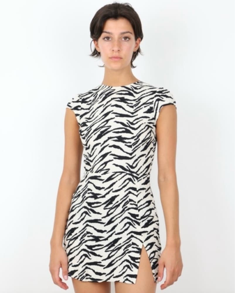 Reformation Zebra Print Mini Dress - Image 1