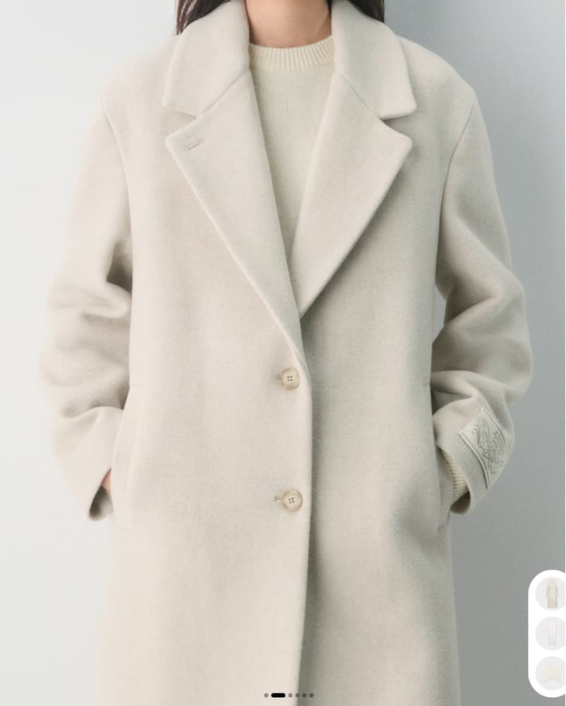 Aritiza Coat - Image 3