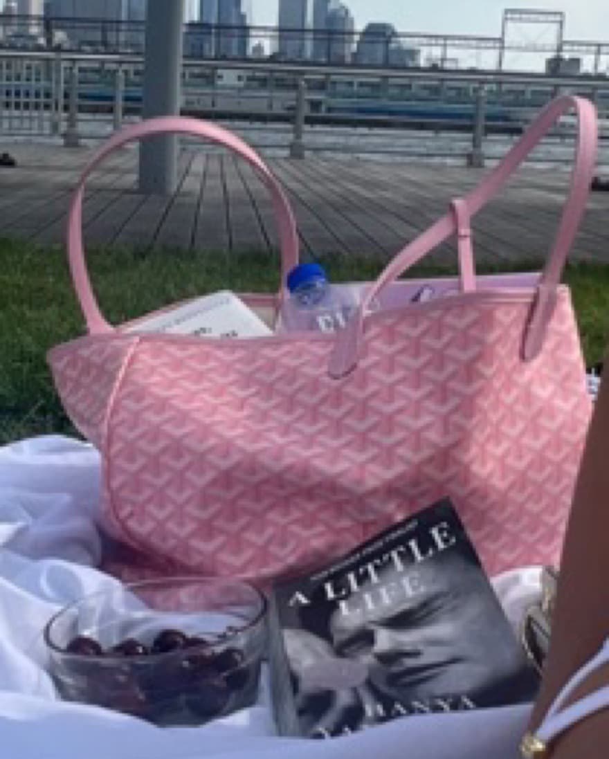 Pink Goyard Medium Tote! - Image 2