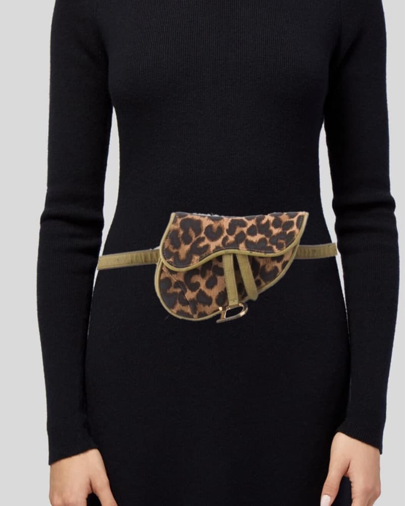 mini dior saddle leopard waist bag - Image 4