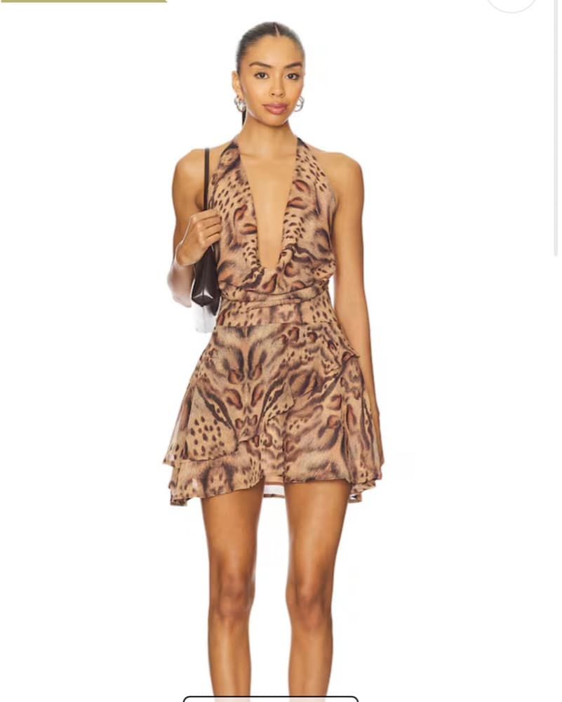 Animal Print Mini Dress  - Image 1