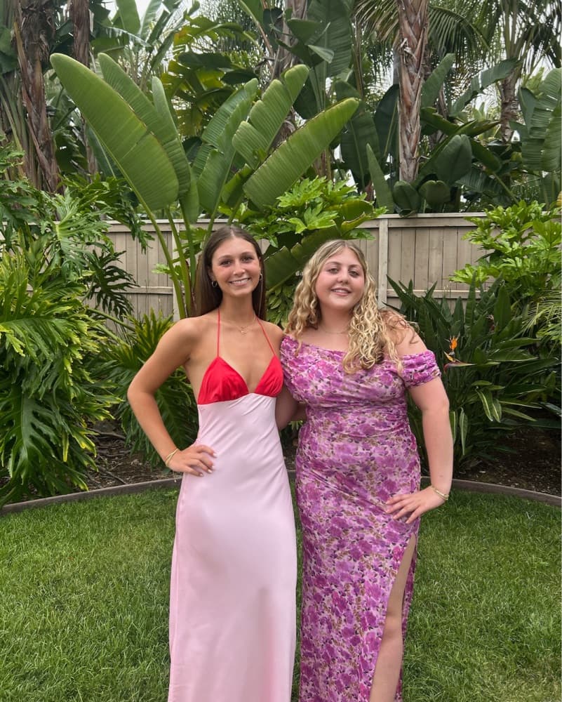 Wolfe Dress in Petal - Image 1