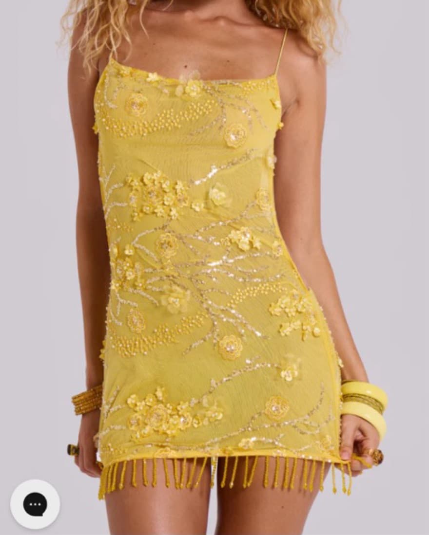 Ellora Embellished Mini Dress - Image 3