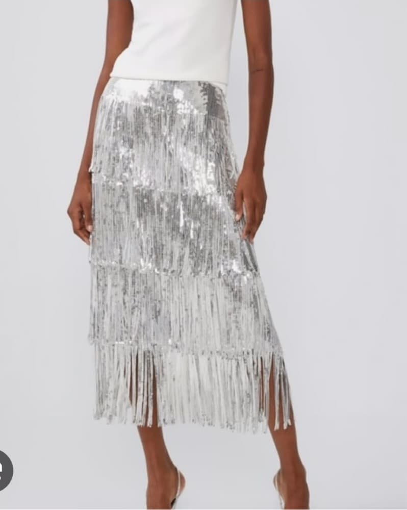 Zara Limited Edition Sequin Skirt - Image 1