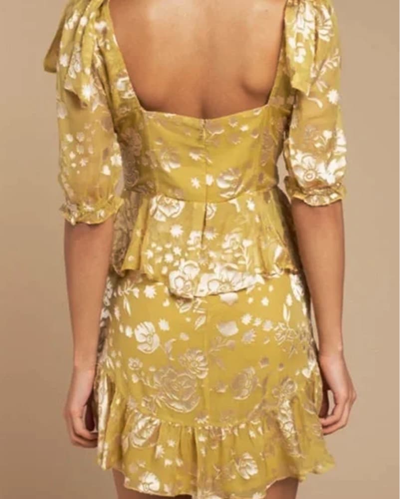 For Love And Lemons Velvet Floral Dress - Image 4