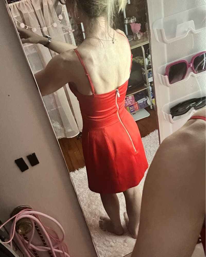 red House of CB dress  - Image 2