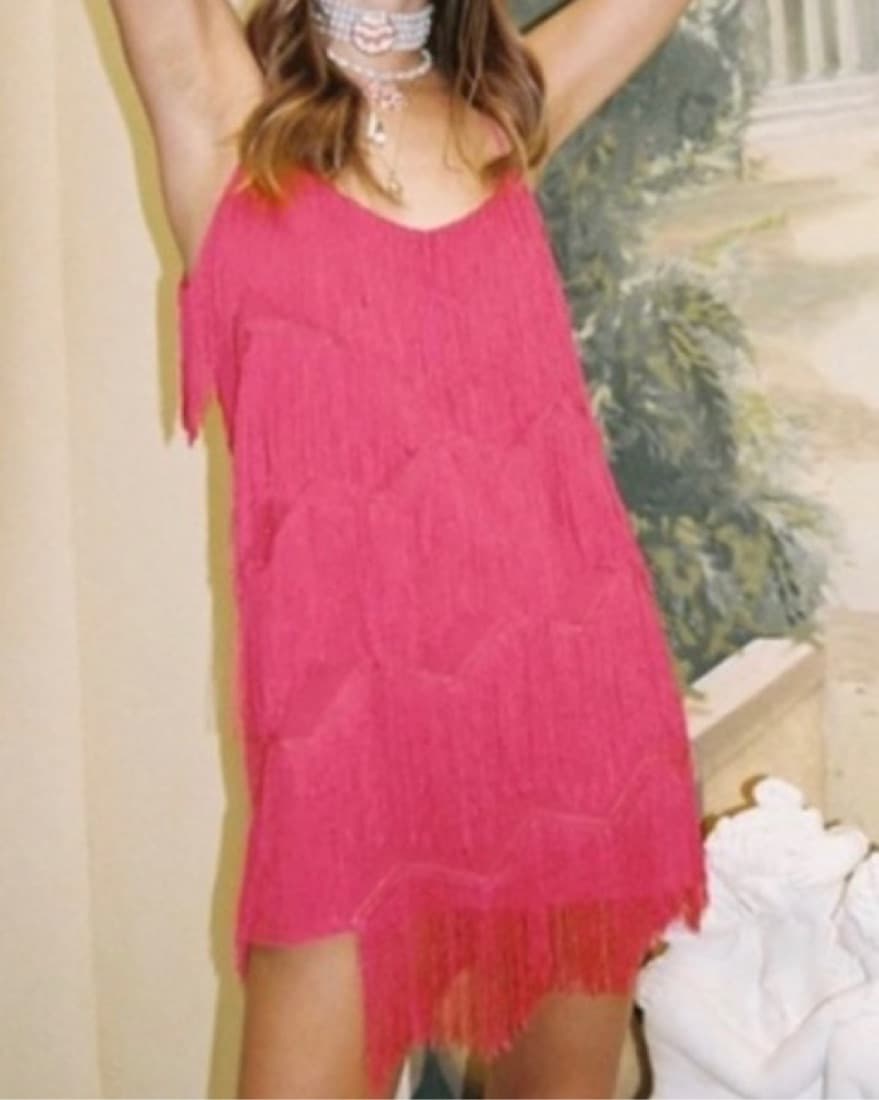 Finders Keepers / Pink Fringe Dress - Image 1