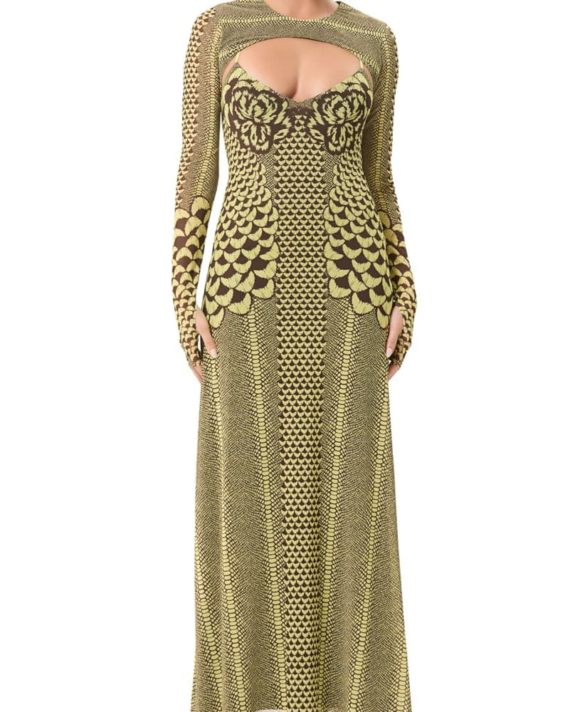 AFRM Cyr Maxi Dress Illusion Dress - Image 1