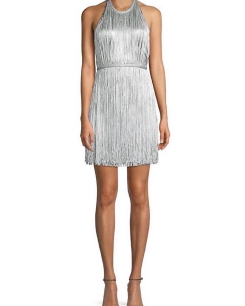 Herve Leger Silver Fringe Dress - Image 1