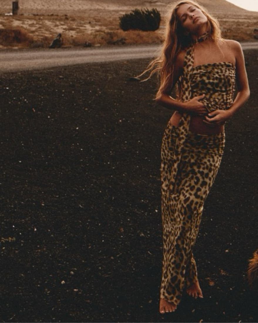 Viral Zara Cheetah Top And Skirt Set - Image 2
