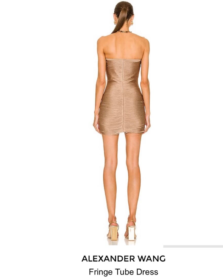 Alexander Wang Fringe Tube Dress - Image 2