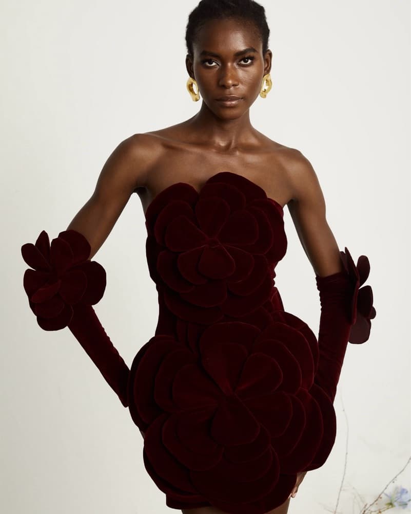 Azura Red Floral Appliqué Mini Dress - Image 1